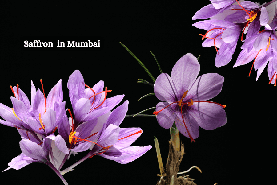 Buy Fresh Saffron Online From Kashmir Online Store in Mumbai | Quality & Authenticity Guaranteed