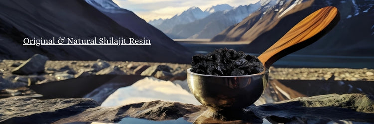 original shilajit resin