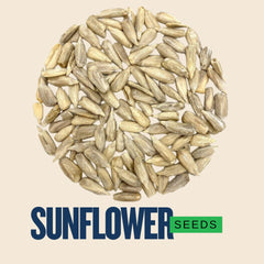 sunflower seeds online