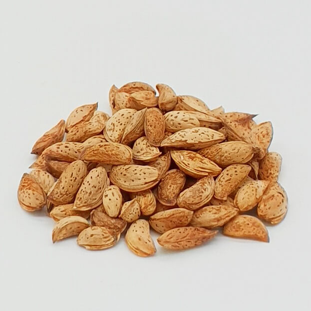 Premium Quality Kashmiri Kagzi (Badam) Almonds – ISO: 22000:2015 / FSS ...